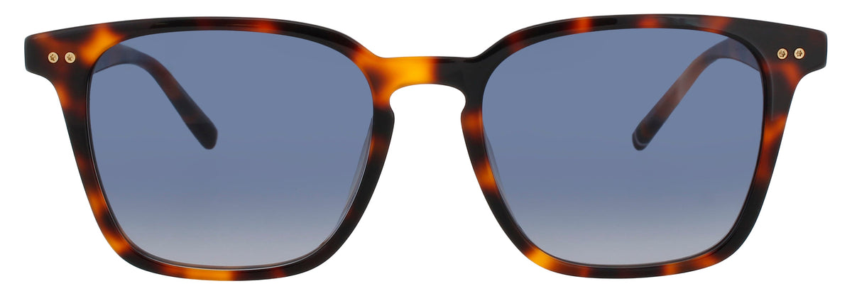Tommy Hilfiger Sunglasses Blue