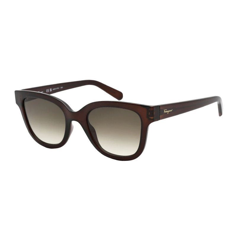 Ferragamo Salvatore Ferragamo Sunglasses Rectangle Full Rim, Dark Crystal Brown Frame and Grey Gradient Lens SF1066S210