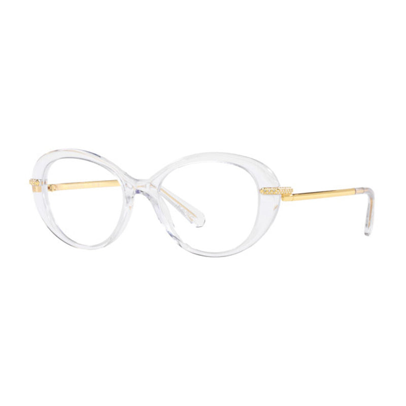 Swarovski Eyeglasses Oval Full Rim, Crystal Frame and Clear Demo Lenses Lens SK20011027