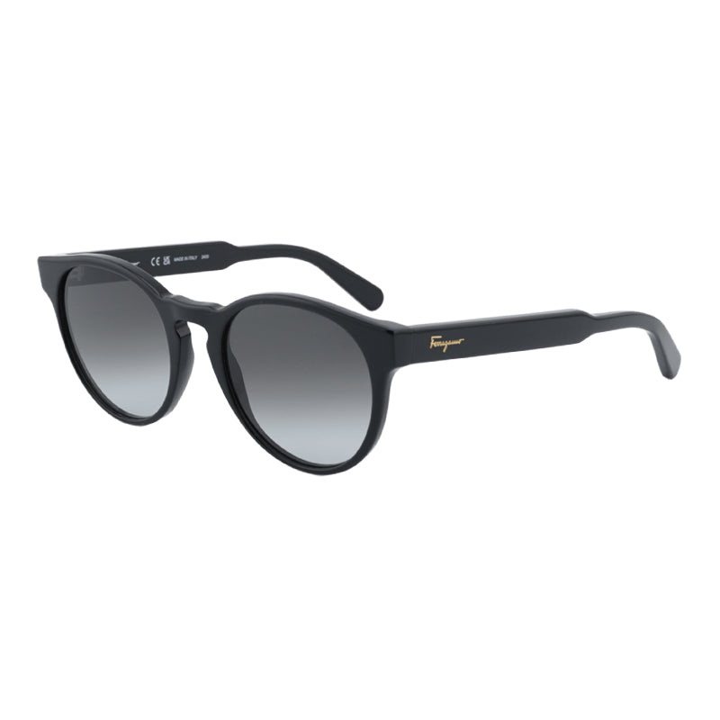 Ferragamo Salvatore Ferragamo Sunglasses Round Full Rim, Black Frame and Grey Gradient Lens SF1068S001