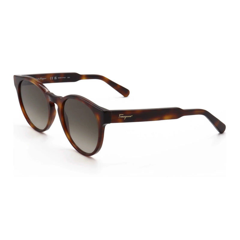 Ferragamo Salvatore Ferragamo Sunglasses Round Full Rim, Tortoise Frame and Brown Gradient Lens SF1068S240