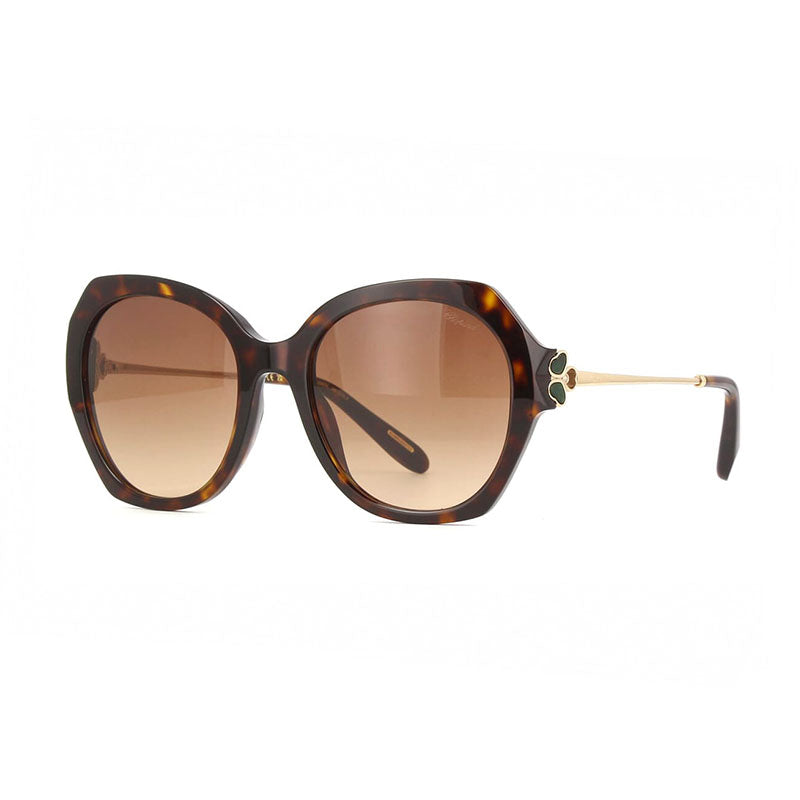 Chopard Sunglasses Round Full Rim, Shiny Brown Havana/Gold Frame and Brown Gradient Lens SCH354V0743