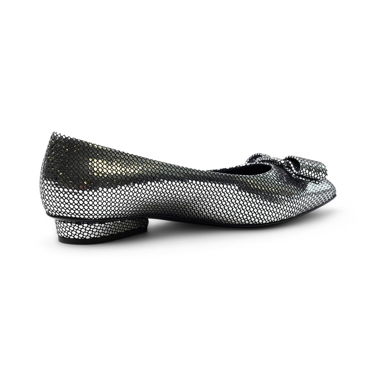 Ferragamo Ballet Shoes