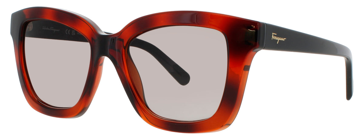 Ferragamo Salvatore Ferragamo Sunglasses Brown