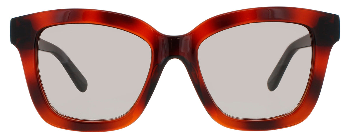 Ferragamo Salvatore Ferragamo Sunglasses Brown