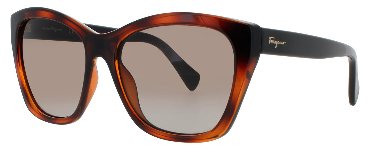 Ferragamo Salvatore Ferragamo Sunglasses Brown