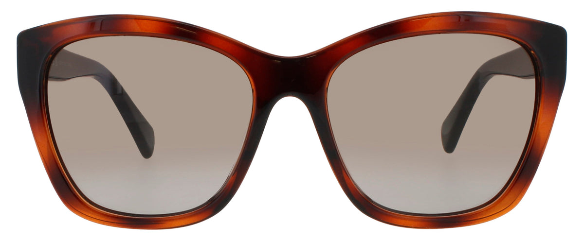 Ferragamo Salvatore Ferragamo Sunglasses Brown
