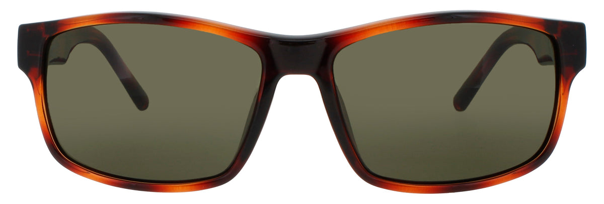 Ferragamo Salvatore Ferragamo Sunglasses Brown