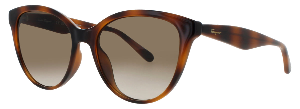 Ferragamo Salvatore Ferragamo Sunglasses Brown