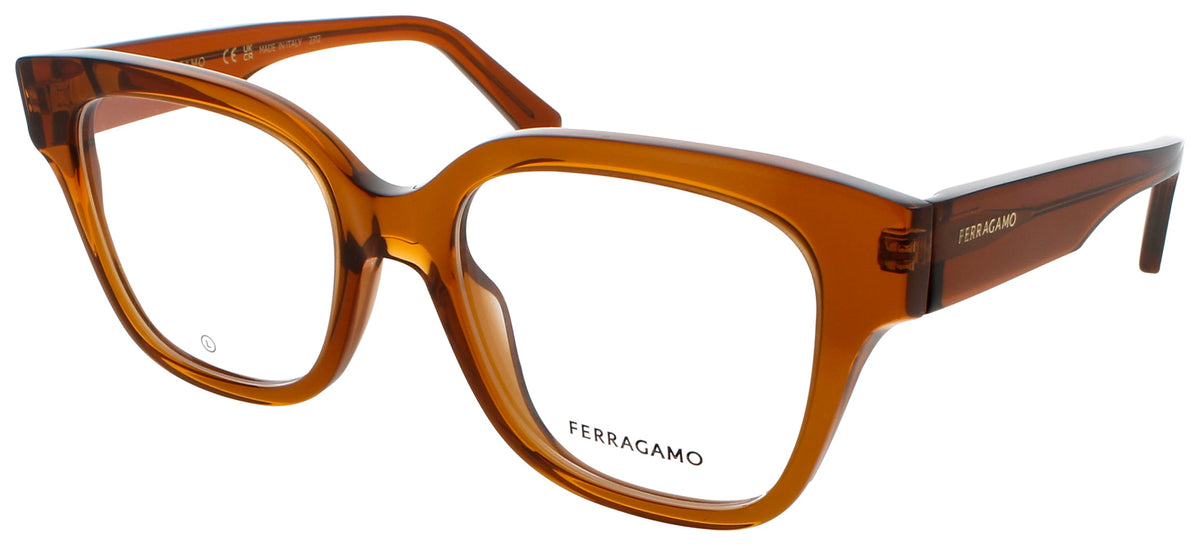 Ferragamo Salvatore Ferragamo Optical Glasses Brown