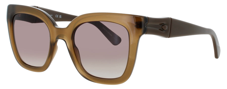 Longchamp Sunglasses Brown