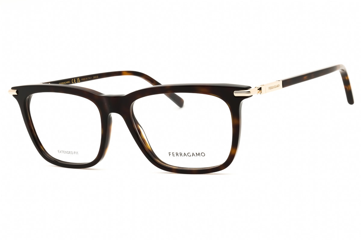 Ferragamo Salvatore Ferragamo SF3007 Eyeglasses