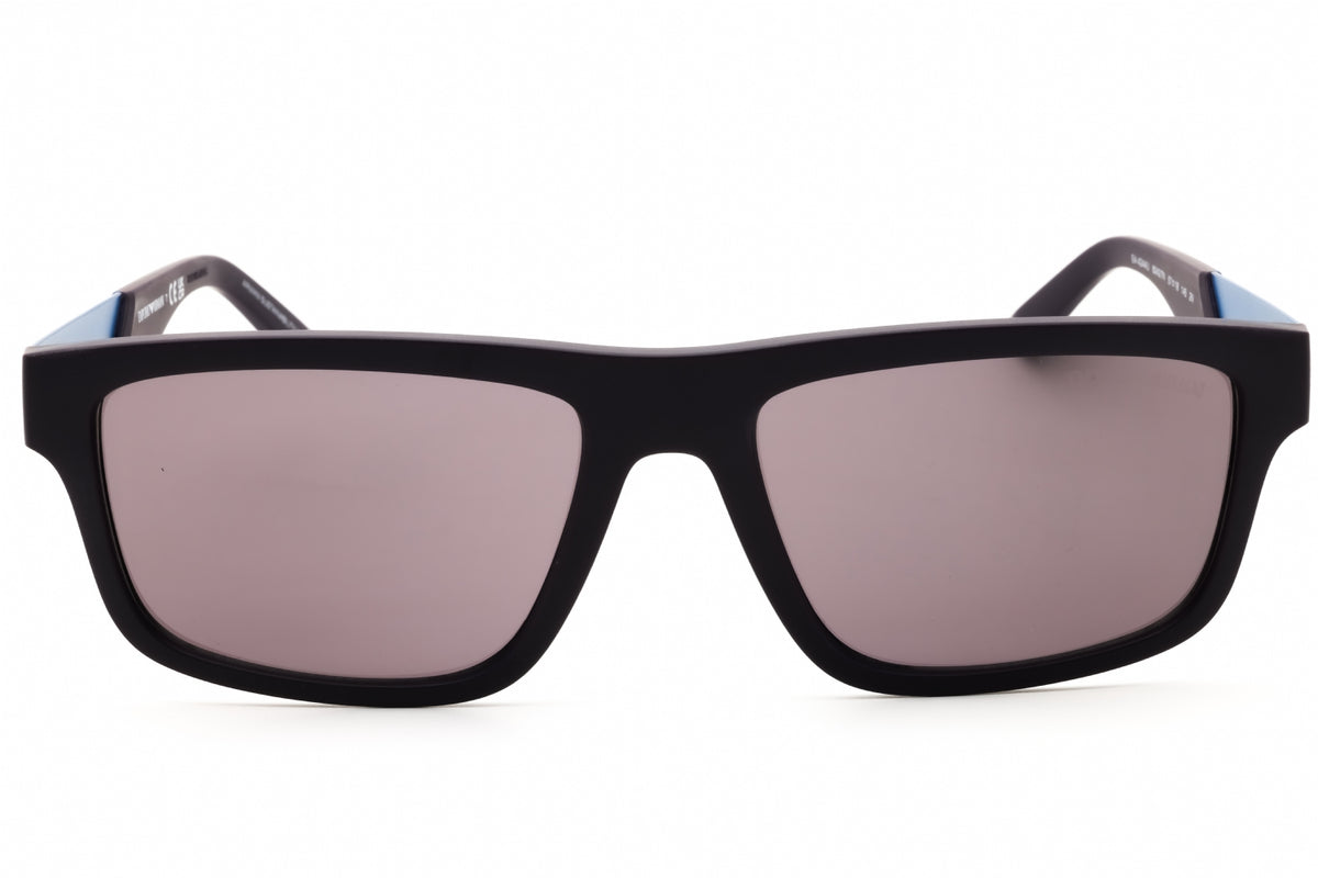 EMPORIO ARMANI 0EA4244U Sunglasses