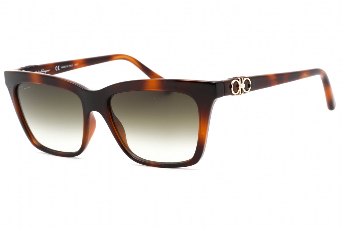 Ferragamo Salvatore Ferragamo SF1027S Sunglasses