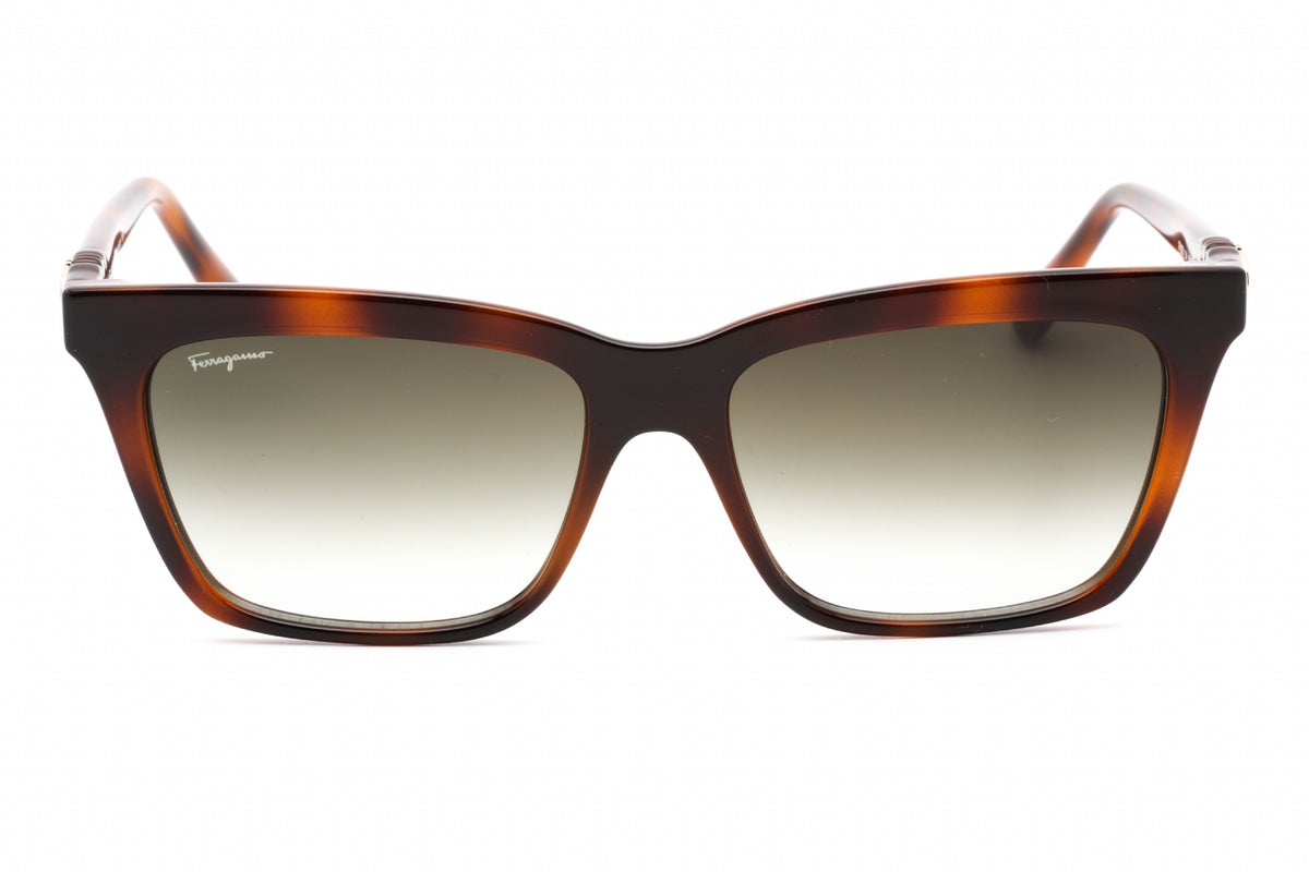 Ferragamo Salvatore Ferragamo SF1027S Sunglasses