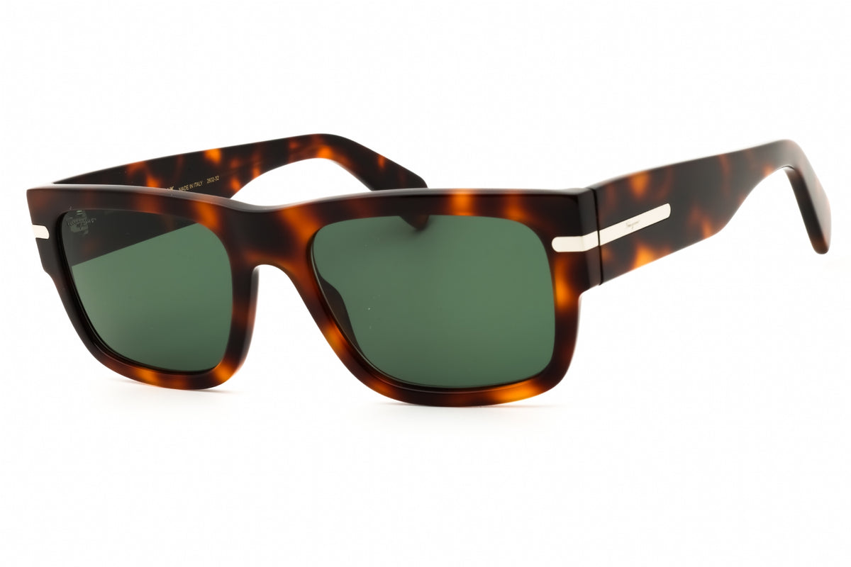 Ferragamo Salvatore Ferragamo SF1030SCP Sunglasses