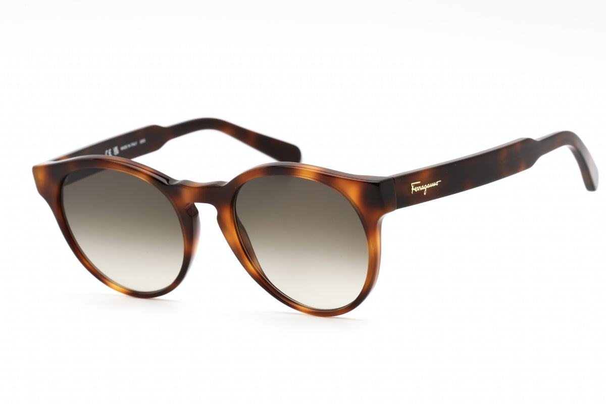 Ferragamo Salvatore Ferragamo SF1068S Sunglasses