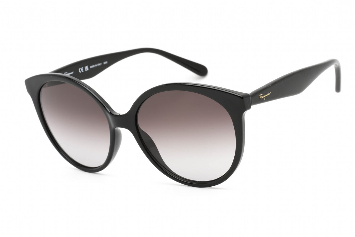Ferragamo Salvatore Ferragamo SF1071S Sunglasses