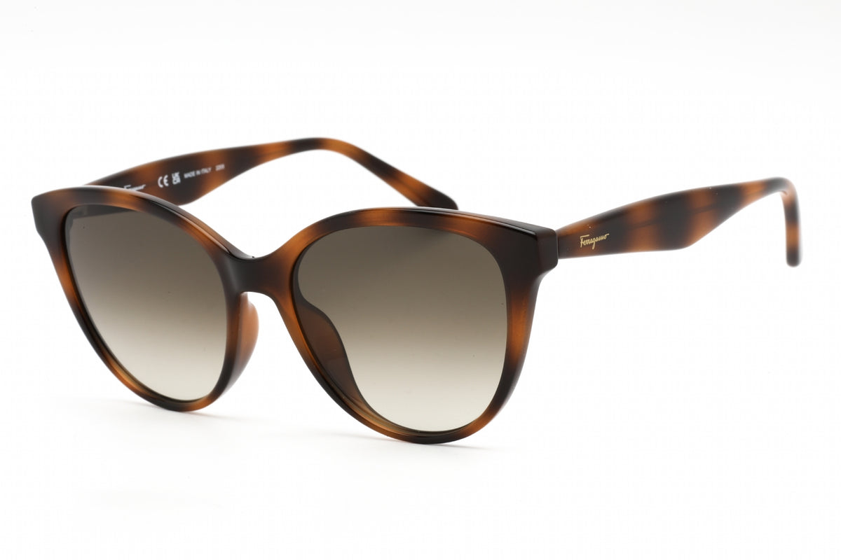 Ferragamo Salvatore Ferragamo SF1073S Sunglasses