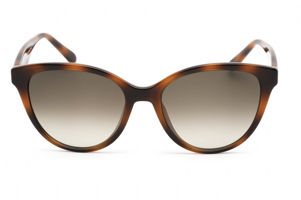 Ferragamo Salvatore Ferragamo SF1073S Sunglasses