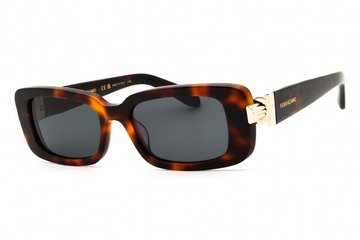 Ferragamo Salvatore Ferragamo SF1105S Sunglasses