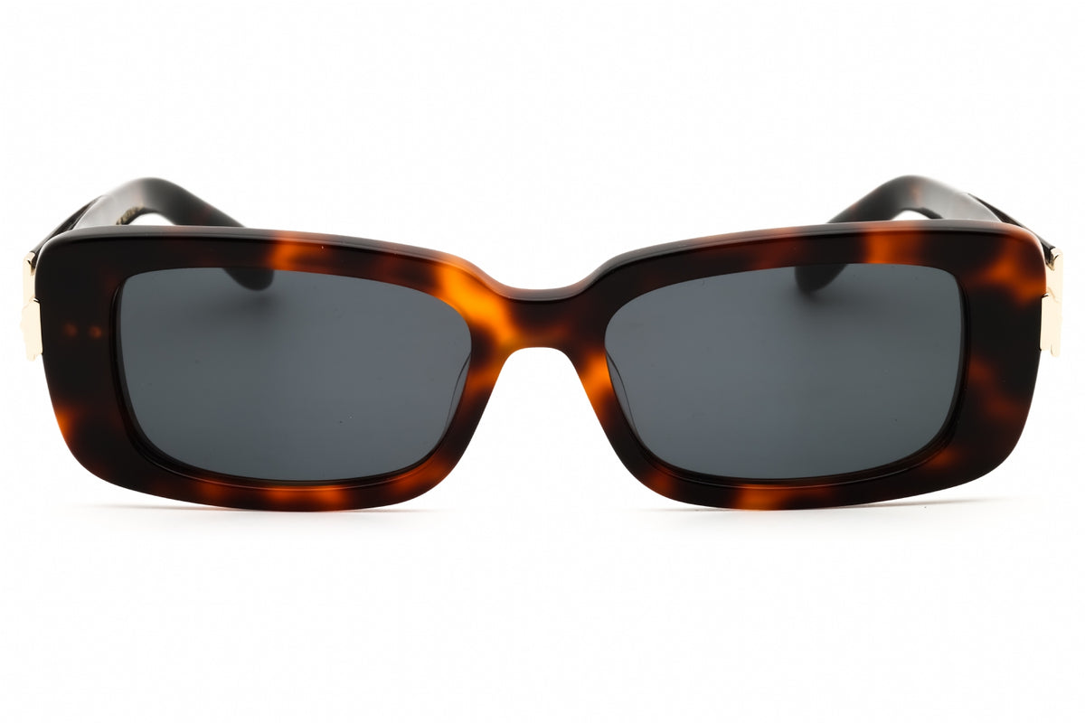 Ferragamo Salvatore Ferragamo SF1105S Sunglasses