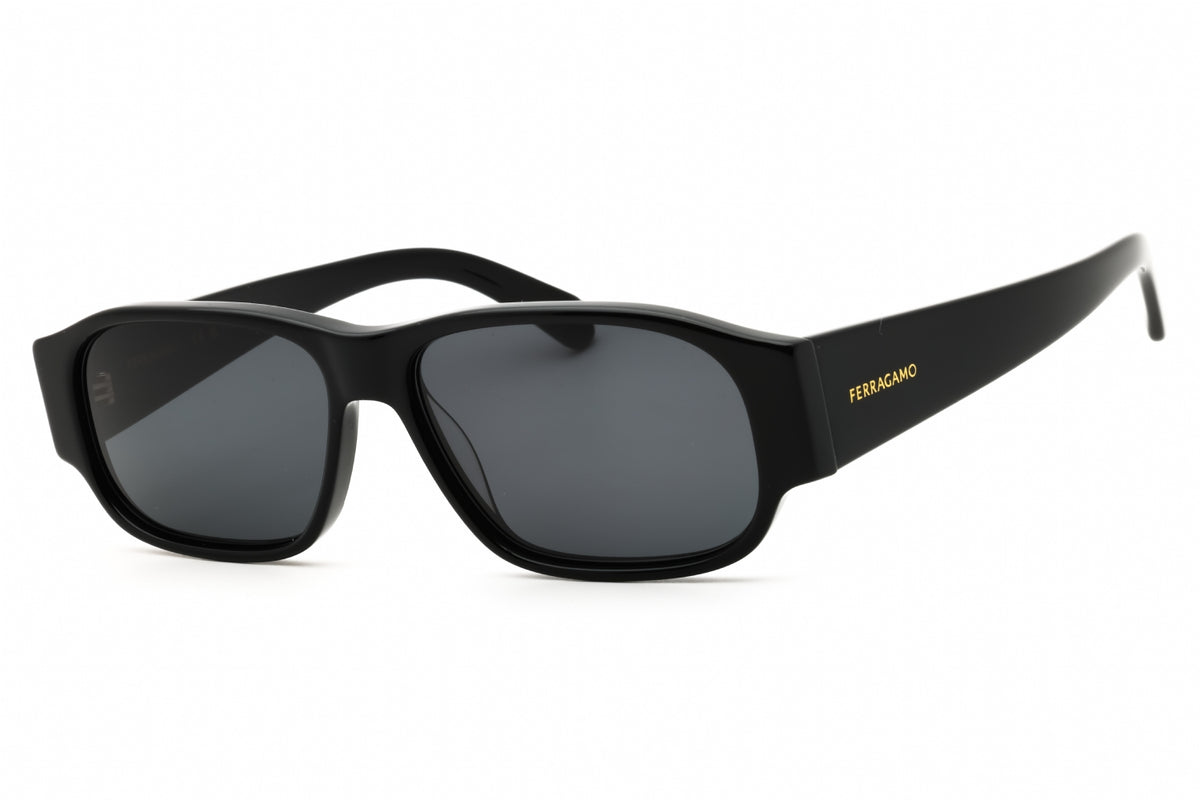 Ferragamo Salvatore Ferragamo SF1109S Sunglasses