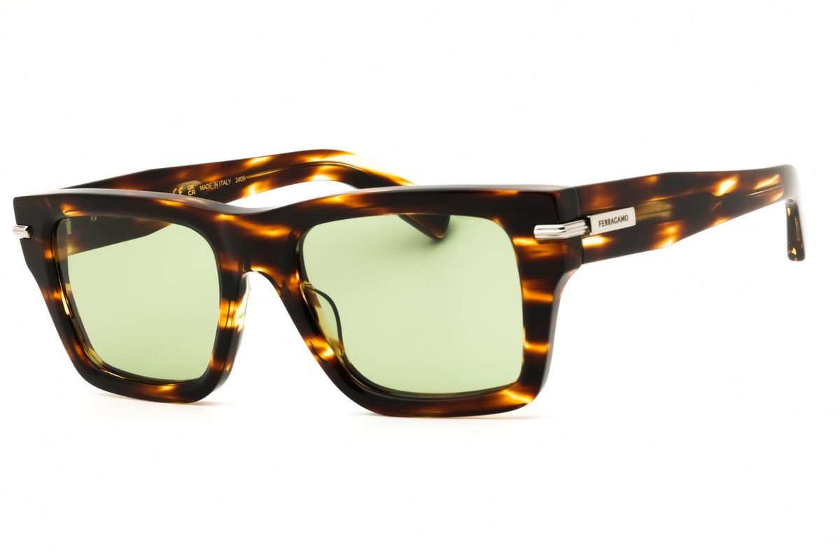 Ferragamo Salvatore Ferragamo SF2033S Sunglasses