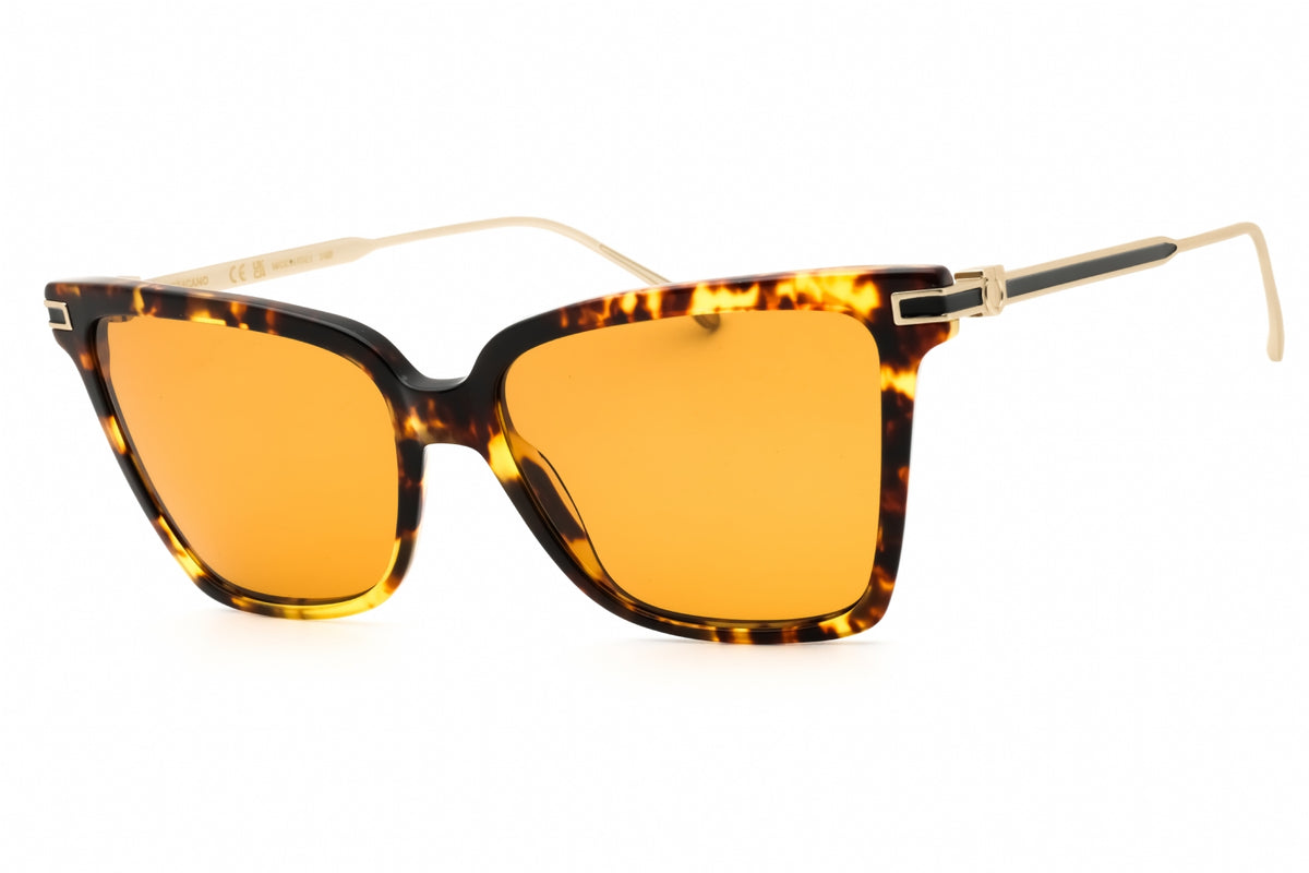 Ferragamo Salvatore Ferragamo SF2036S Sunglasses