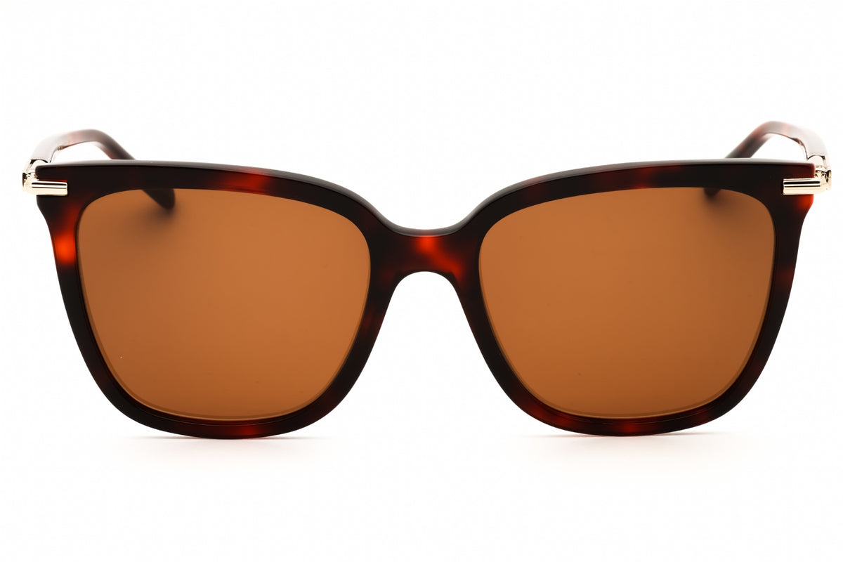 Ferragamo Salvatore Ferragamo SF2037S Sunglasses
