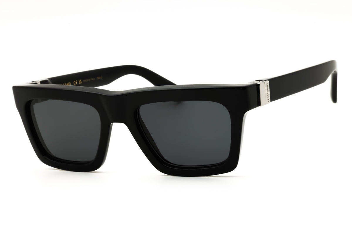 Ferragamo Salvatore Ferragamo SF2071S Sunglasses