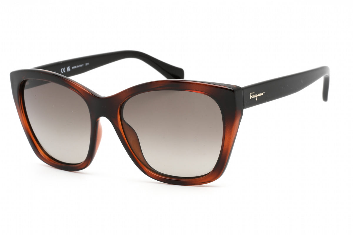 Ferragamo Salvatore Ferragamo SF957S Sunglasses