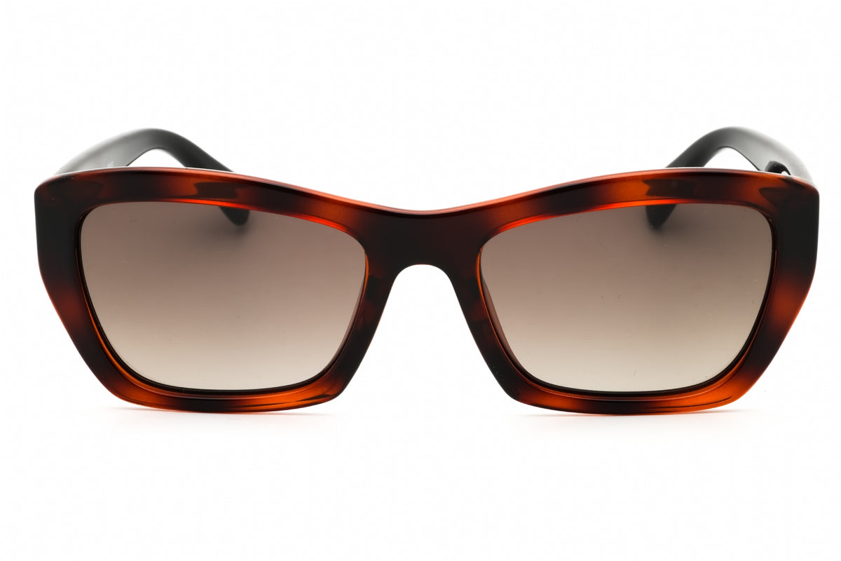Ferragamo Salvatore Ferragamo SF958S Sunglasses