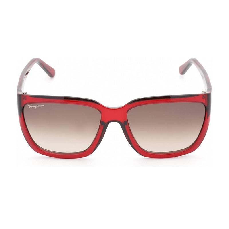 Ferragamo Salvatore Ferragamo Sunglasses Square Full Rim, Transparent Wine Frame and Brown Gradient Lens SF1018S655
