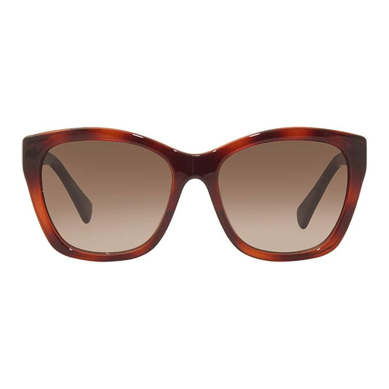 Ferragamo Salvatore Ferragamo Sunglasses Cat Eye Full Rim, Havana Frame and Brown Gradient Lens SF957S214