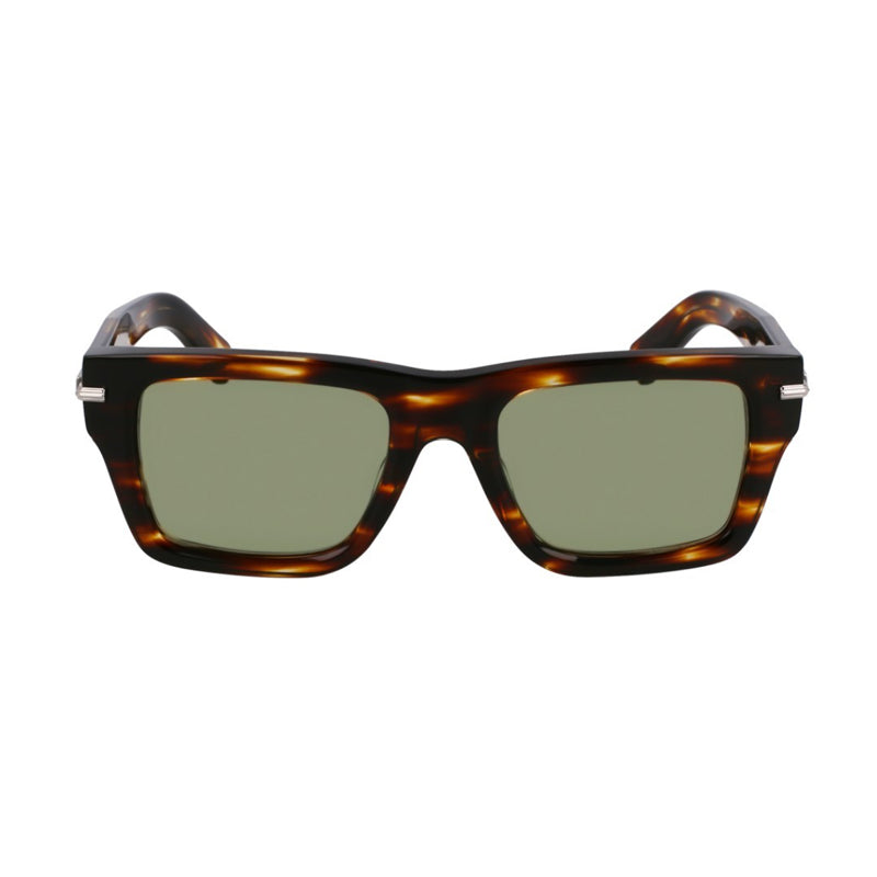 Ferragamo Salvatore Ferragamo Sunglasses Square Full Rim, Striped Brown Frame and Green Lens SF2033S216